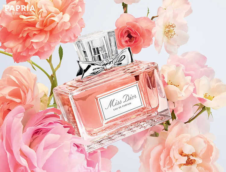 ادوپرفیوم میس دیور Miss Dior 💯 اورجینال ۱۰۰ میل